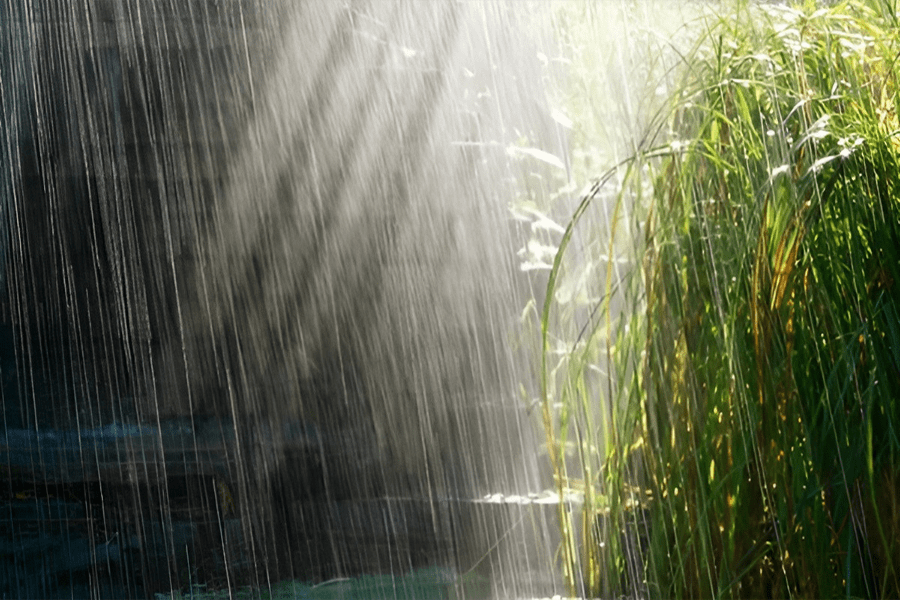 Nằm mơ thấy mưa có ý nghĩa gì? Giải đáp từ chuyên gia 33win